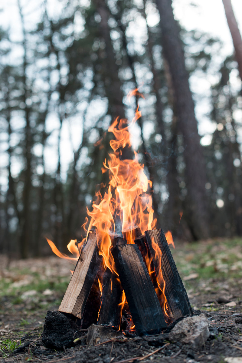 Wolle/ Stoffe färben mit Pflanzenfarben am Lagerfeuer